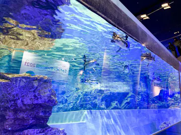 すみだ水族館に投稿された画像（2021/10/24）