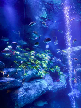 すみだ水族館に投稿された画像（2021/10/24）