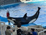 名古屋港水族館に投稿された画像（2021/10/24）