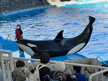 名古屋港水族館に投稿された画像（2021/10/24）