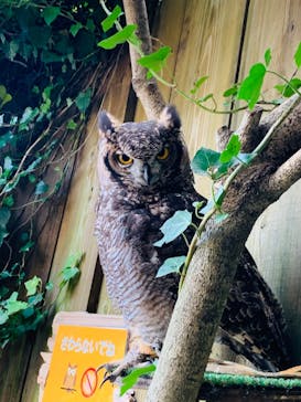 伊豆アニマルキングダムに投稿された画像（2021/10/24）