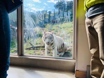 伊豆アニマルキングダムに投稿された画像（2021/10/24）