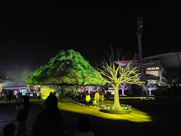 東京メガイルミに投稿された画像（2021/10/24）