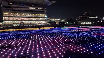 東京メガイルミに投稿された画像（2021/10/24）