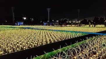 東京メガイルミに投稿された画像（2021/10/24）