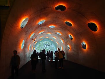 清津峡渓谷トンネルに投稿された画像（2021/10/24）