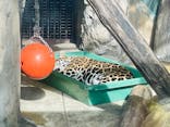 天王寺動物園に投稿された画像（2021/10/24）