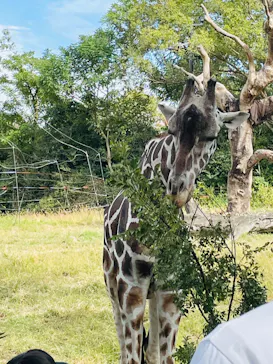 天王寺動物園に投稿された画像（2021/10/24）