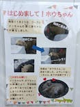 天王寺動物園に投稿された画像（2021/10/24）