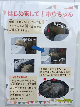 天王寺動物園に投稿された画像（2021/10/24）