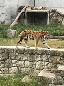 天王寺動物園に投稿された画像（2021/10/24）