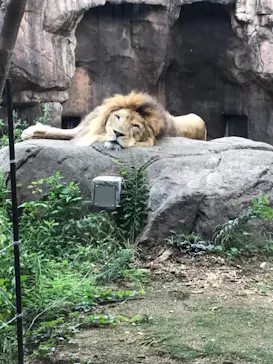 天王寺動物園に投稿された画像（2021/10/24）