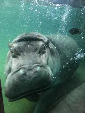 天王寺動物園に投稿された画像（2021/10/24）