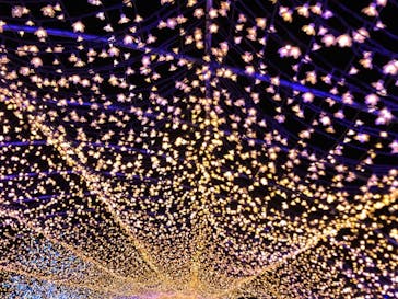 東京メガイルミに投稿された画像（2021/10/24）