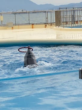 マリンワールド海の中道に投稿された画像（2021/10/24）