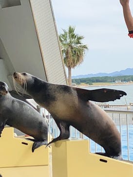 マリンワールド海の中道に投稿された画像（2021/10/24）