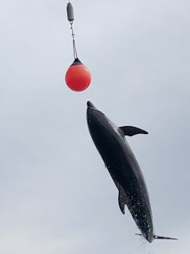 マリンワールド海の中道に投稿された画像（2021/10/24）