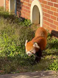 東武動物公園に投稿された画像（2021/10/24）