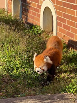東武動物公園に投稿された画像（2021/10/24）
