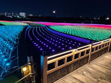 東京メガイルミに投稿された画像（2021/10/24）