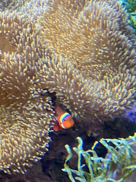 名古屋港水族館に投稿された画像（2021/10/24）