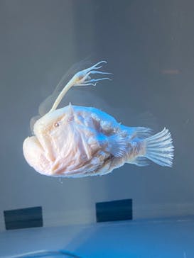 名古屋港水族館に投稿された画像（2021/10/24）