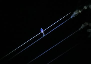 奄美ナイトツアーサービスに投稿された画像（2021/10/24）