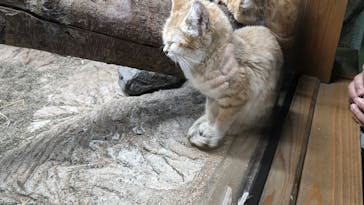 那須どうぶつ王国に投稿された画像（2021/10/24）