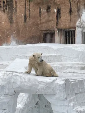 天王寺動物園に投稿された画像（2021/10/24）