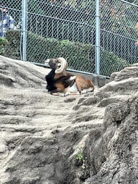 天王寺動物園に投稿された画像（2021/10/24）