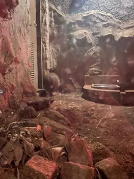 天王寺動物園に投稿された画像（2021/10/24）