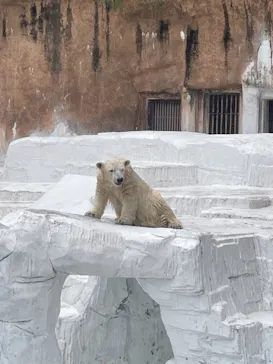 天王寺動物園に投稿された画像（2021/10/24）