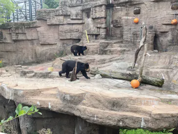 天王寺動物園に投稿された画像（2021/10/24）