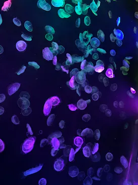 すみだ水族館に投稿された画像（2021/10/24）