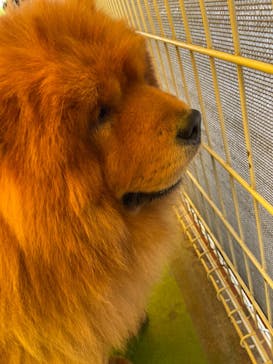 つくばわんわんランドに投稿された画像（2021/10/24）