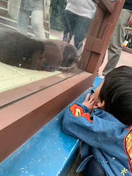 ゼロ距離水族館 伊勢シーパラダイスに投稿された画像（2021/10/24）