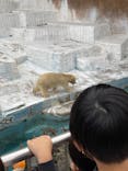 天王寺動物園に投稿された画像（2021/10/25）