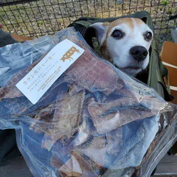 わんダフルネイチャーヴィレッジに投稿された画像（2021/10/24）