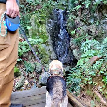 わんダフルネイチャーヴィレッジに投稿された画像（2021/10/24）