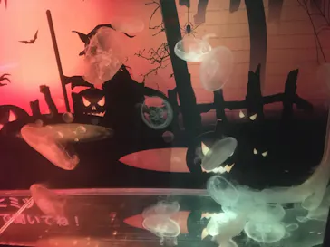 すみだ水族館に投稿された画像（2021/10/24）