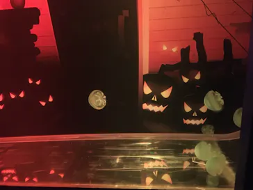 すみだ水族館に投稿された画像（2021/10/24）