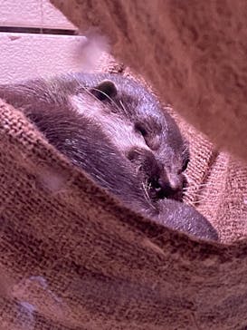 マクセル アクアパーク品川に投稿された画像（2021/10/24）