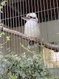 天王寺動物園に投稿された画像（2021/10/25）