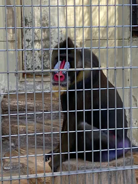 天王寺動物園に投稿された画像（2021/10/24）