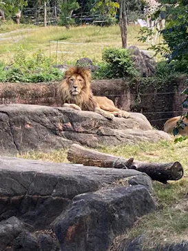 天王寺動物園に投稿された画像（2021/10/24）