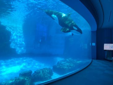 名古屋港水族館に投稿された画像（2021/10/24）