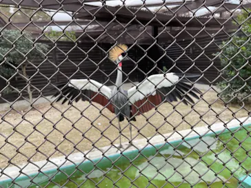 天王寺動物園に投稿された画像（2021/10/24）