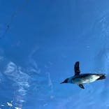 サンシャイン水族館に投稿された画像（2021/10/25）