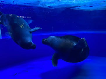 サンシャイン水族館に投稿された画像（2021/10/24）