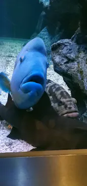 すみだ水族館に投稿された画像（2021/10/24）